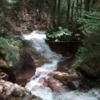 drgnfly7